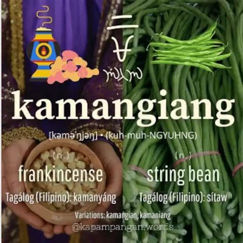 kamanyang video